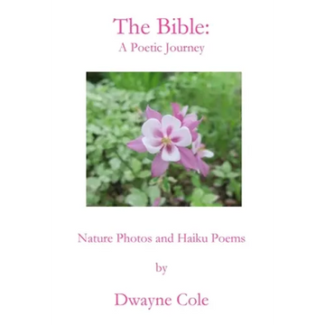 The Bible: A Poetic Journey - Paperback