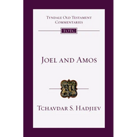 Joel and Amos: An Introduction and Commentary Volume 25 - Paperback