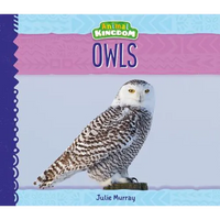 Owls - Library Binding