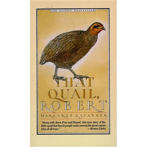 That Quail, Robert
