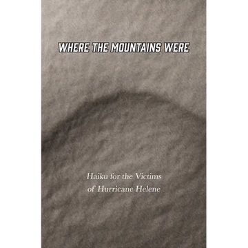Where the Mountains Were - Paperback