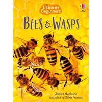 Bees and Wasps - Paperback