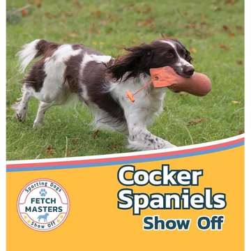 Cocker Spaniels Show Off - Hardcover