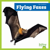 Flying Foxes - Paperback