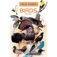 Birds - Library Binding