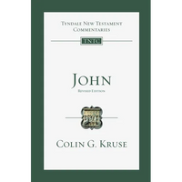 John: An Introduction and Commentary - Paperback