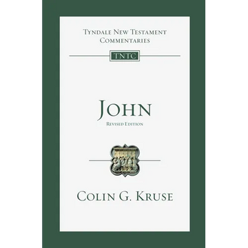 John: An Introduction and Commentary - Paperback