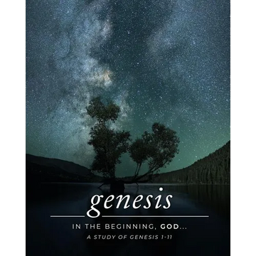 Genesis 1-11: A Simply Bible Study - Paperback