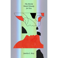The World Wasn't Ready for You: Stories - Paperback