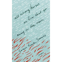 All Wrong Horses on Fire That Go Away in the Rain - Paperback