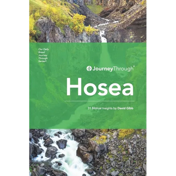 Journey Through Hosea: 31 Biblical Insights by David Gibb - Paperback