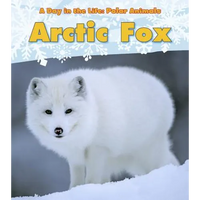 Arctic Fox - Paperback