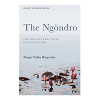 The Ngöndro: Foundation practices of Mahamudra - Paperback