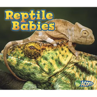 Reptile Babies - Paperback
