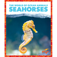 Seahorses - Paperback