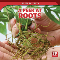 A Peek at Roots - Paperback