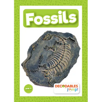 Fossils - Library Binding