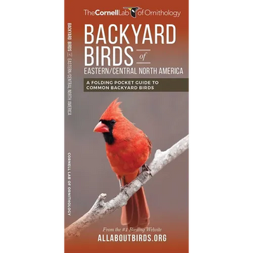 Backyard Birds of Eastern/Central North America: A Folding Pocket Guide to Common Backyard Birds - Paperback