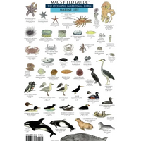 Mac's Field Guides: Olympic National Park
