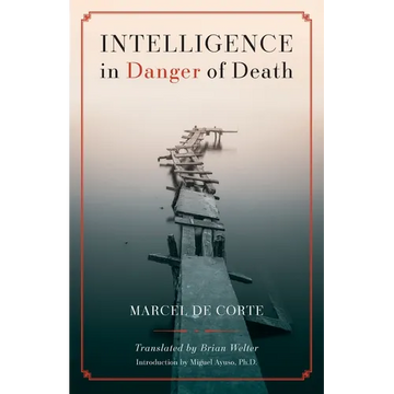 Intelligence in Danger of Death (English edition) - Paperback
