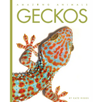 Geckos - Paperback