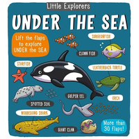 Little Explorers: Under the Sea - Hardcover