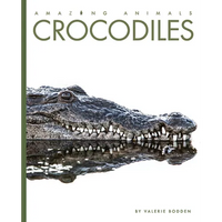Crocodiles - Paperback