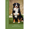 bernese moutain dog
