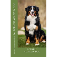 bernese moutain dog - Paperback