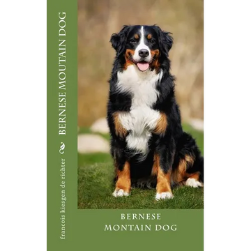 bernese moutain dog - Paperback