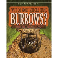 Why Do Wolf Spiders Make Burrows?: And Other Odd Arachnid Adaptations - Library Binding