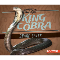 King Cobra: Snake Eater - Library Binding