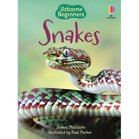 Snakes (Usborne Beginners) - Paperback