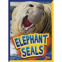 Elephant Seals - Paperback
