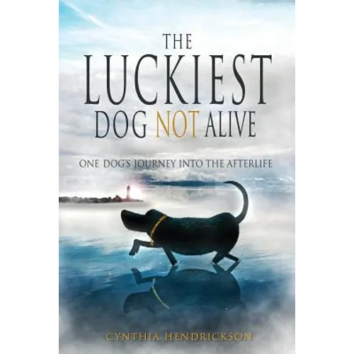 The Luckiest Dog Not Alive