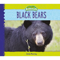 Black Bears - Library Binding