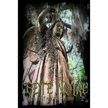 Bete Noire Issue #17 - Paperback