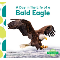 Day in the Life of a Bald Eagle - Library Binding