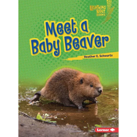 Meet a Baby Beaver - Paperback