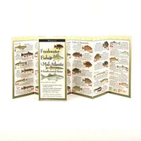 Freshwater Fishes of Mid-Atlantic
