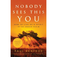 Nobody Sees This You: How to Live as a Spirit in the Unseen Realm - Hardcover