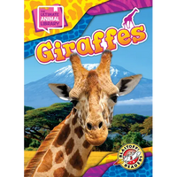 Giraffes - Library Binding