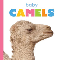 Baby Camels - Paperback
