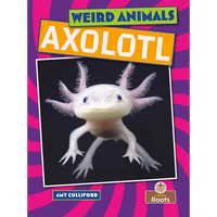 Axolotl - Paperback