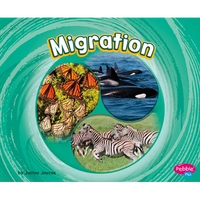 Migration - Paperback