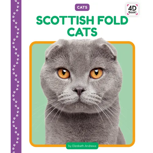 Scottish Fold Cats