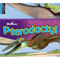 Pterodactyl - Library Binding
