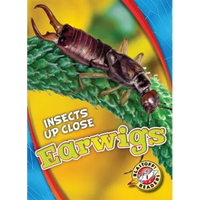 Earwigs - Library Binding