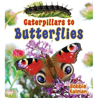 Caterpillars to Butterflies - Paperback