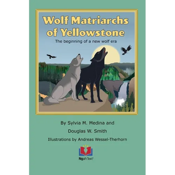 Wolf Matriarchs of Yellowstone - Paperback